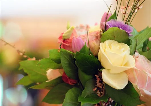 Weddings at Oaks Farm - Trevor Godfree Photography